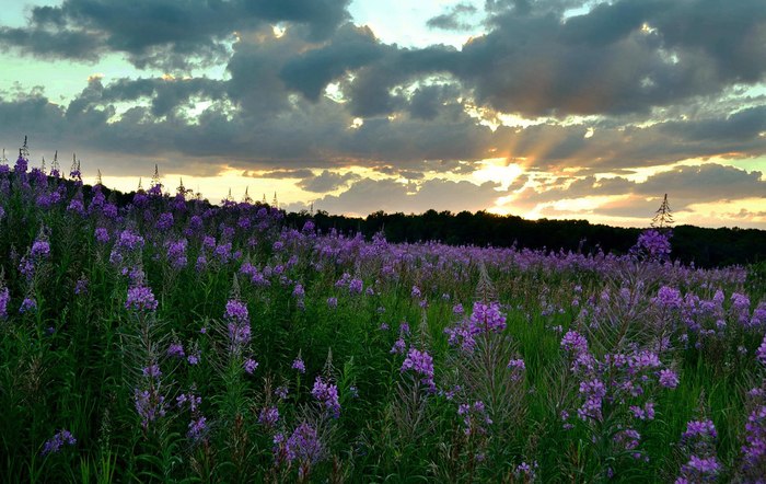 Новый дом - новые фото : )
