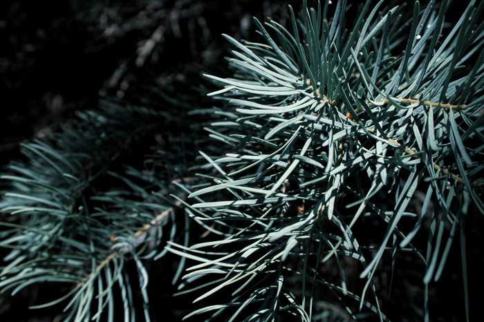    , Canon 1100d,  , , 