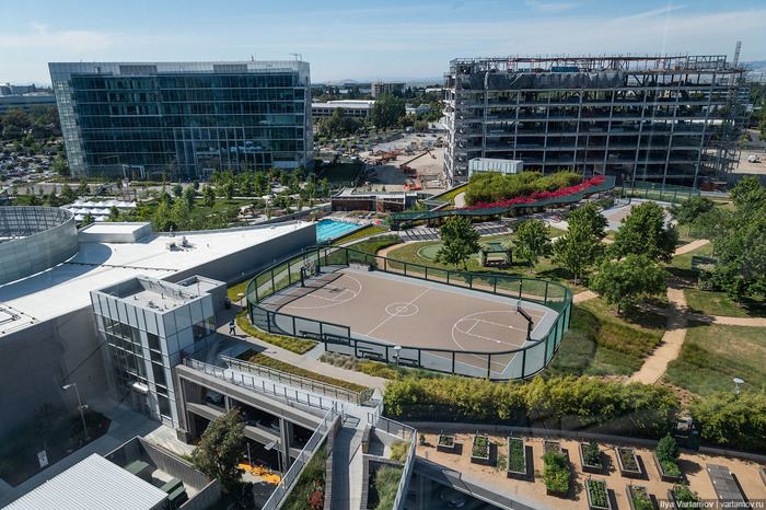 Самый крутой офис "Гугл": не работа, а курорт Google, Калифорния, Кремниевая Долина, Офис, США, Сан-Хосе, Длиннопост