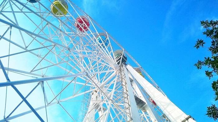 ������ ���������