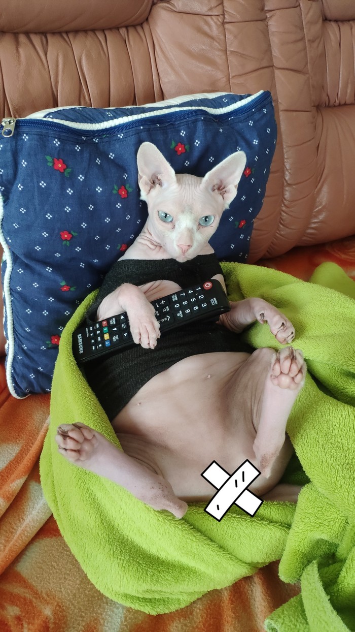     ... , ,  ,   , 