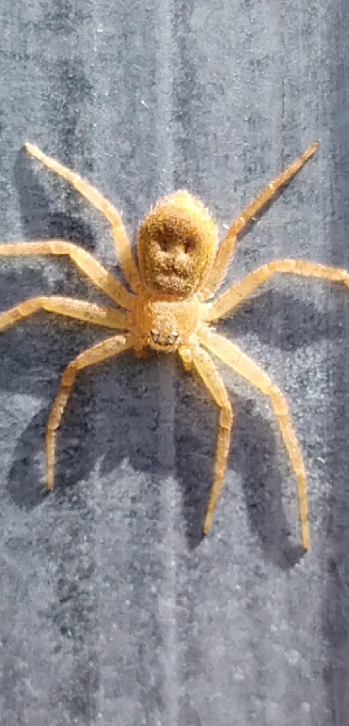     , 