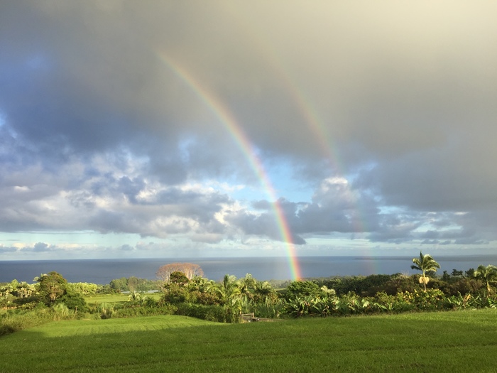 Rainbow