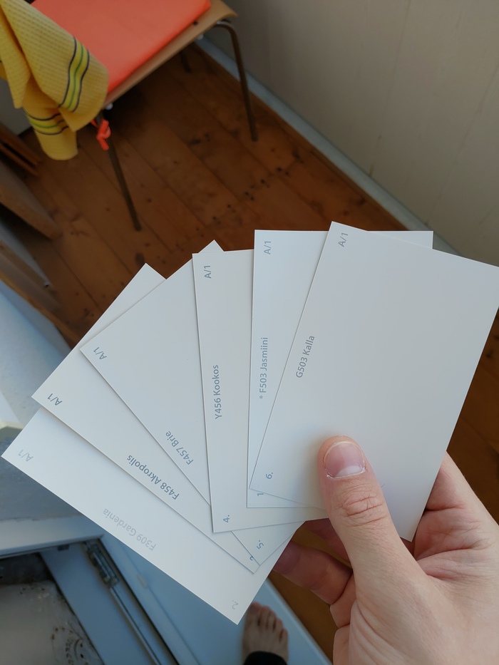 Девушка попросила выбрать цвет краски