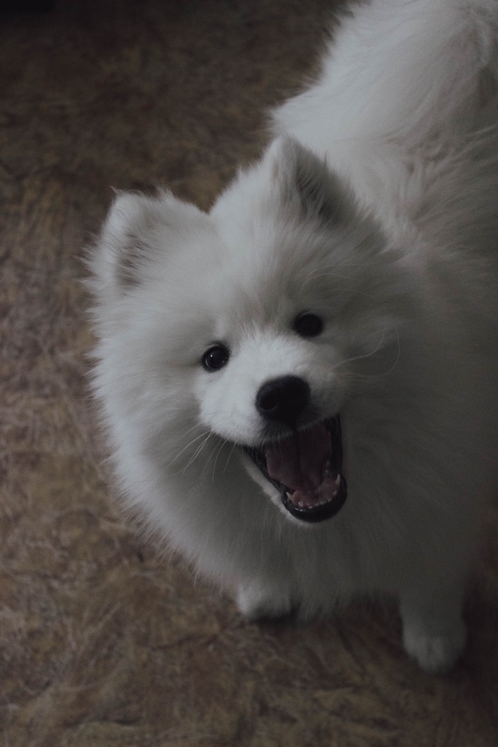   .  5.  = destructions