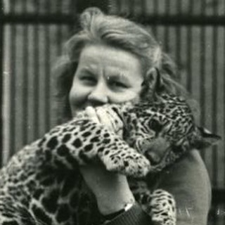  78       22  23  1941 .      