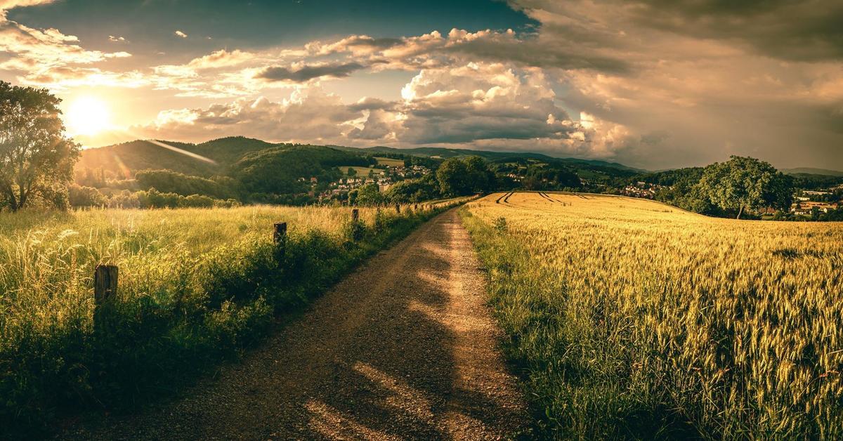 интересное про поле