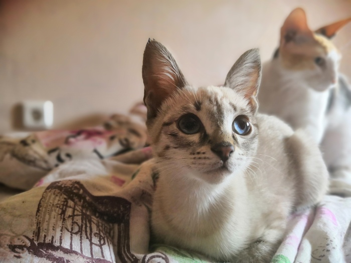 ���� ���� ����� (����������) [UPD: ��� �����������]