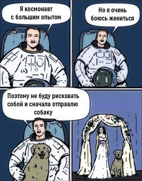   ,  ? , , , 