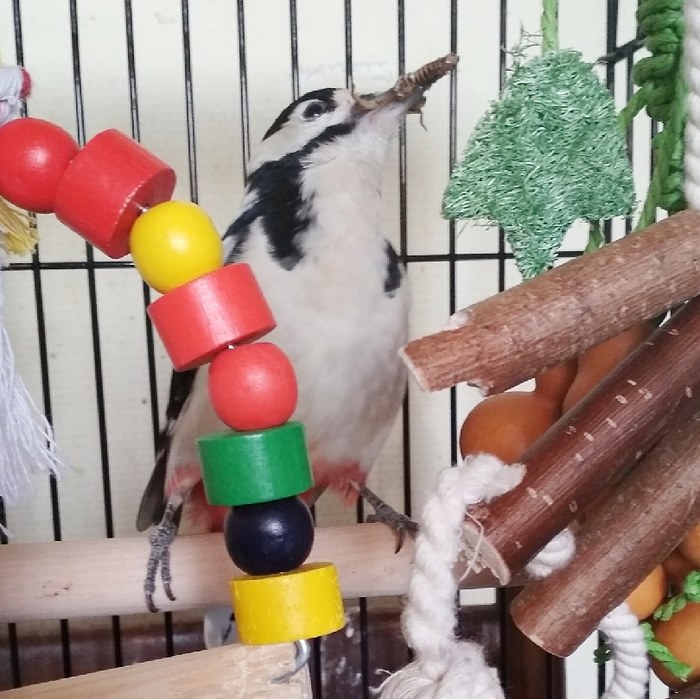 Когда ты хороший мальчик и знаешь об этом )