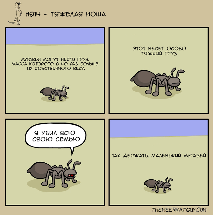   Themeerkatguy, , , , , 