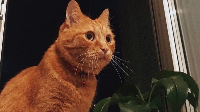 ���� �������� ��� �������� � ��������� ��������� �������������