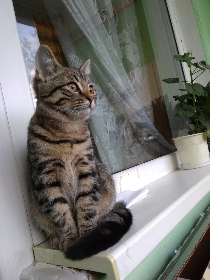 ���� ����