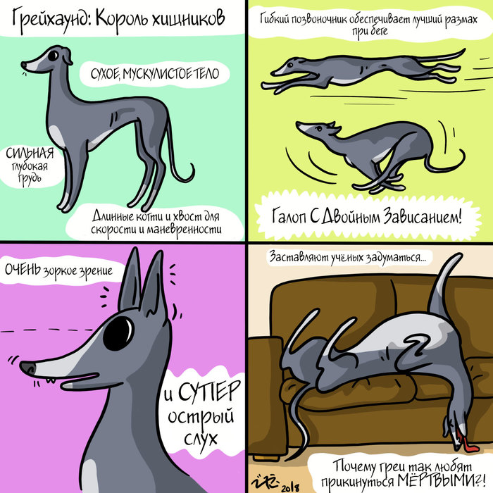 ��������� � �������� - 2