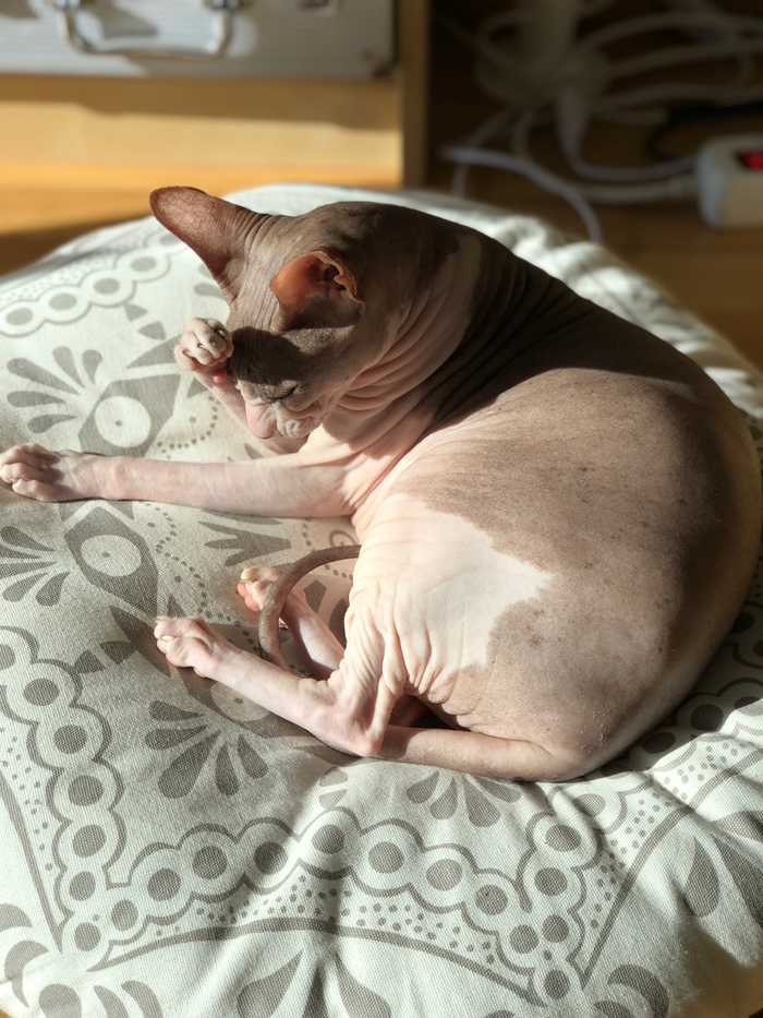 Когда солнце слишком ярко светит