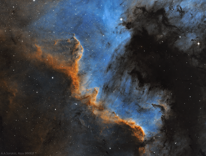    NGC 7000    , , , , , 