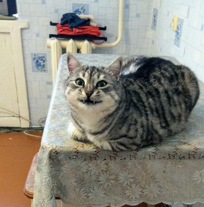 От улыбки станет всем светлей