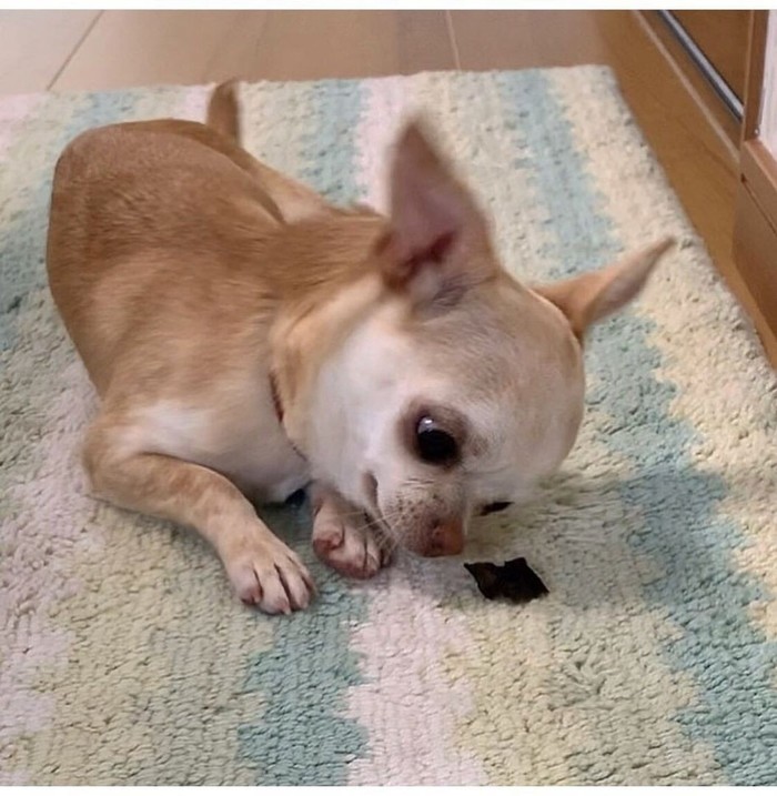 ���������: � � ��� ��������