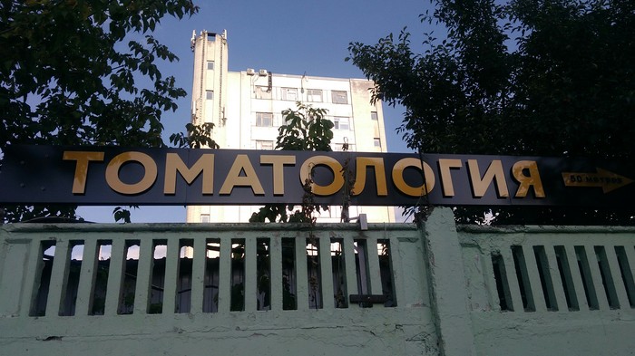 ����� ���� ������� ������� ��������, �������� �