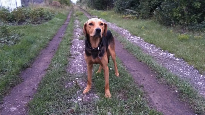 ������� ������� ������, ��������� �������