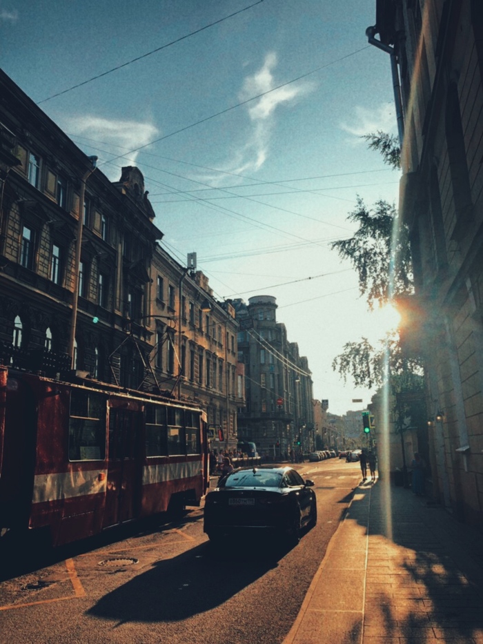 ������ ����