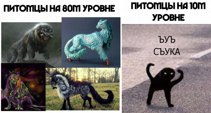    MMORPG, , , 