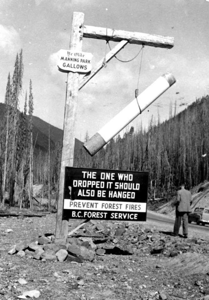 Наглядная агитация по профилактике лесных пожаров в Канаде, Британская Колумбия , 1947 год