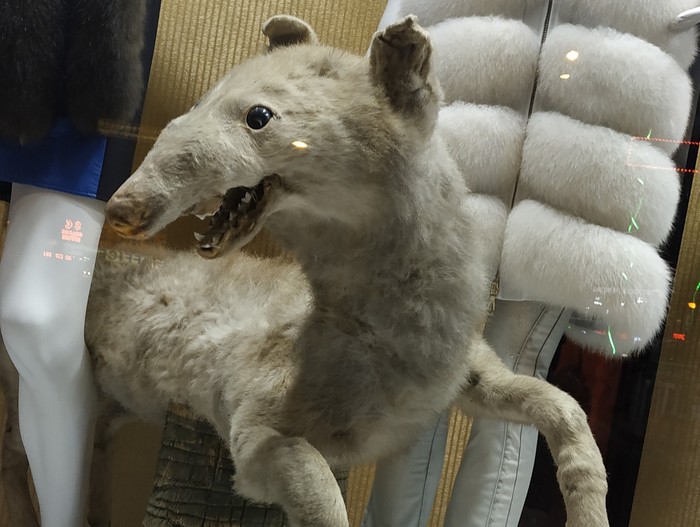 скажи пожалуйста как меня зовут. Смотреть фото скажи пожалуйста как меня зовут. Смотреть картинку скажи пожалуйста как меня зовут. Картинка про скажи пожалуйста как меня зовут. Фото скажи пожалуйста как меня зовут скажи пожалуйста как меня зовут. Смотреть фото скажи пожалуйста как меня зовут. Смотреть картинку скажи пожалуйста как меня зовут. Картинка про скажи пожалуйста как меня зовут. Фото скажи пожалуйста как меня зовут