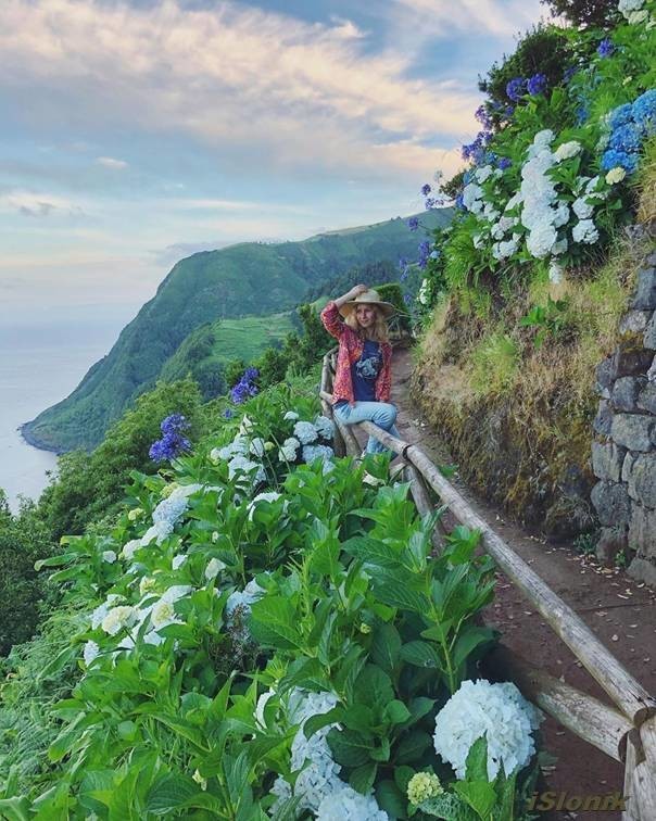 ������ ������ � ��������� ������� - ������ ���������������