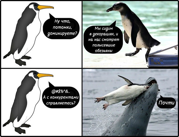 Ну как вы там, потомки?