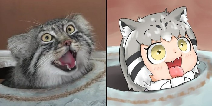  , , ,  ,  