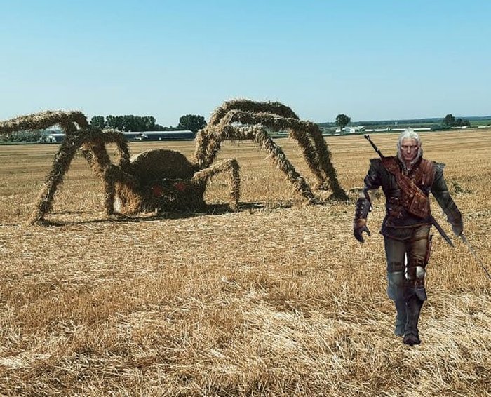 Это работа для Ведьмака