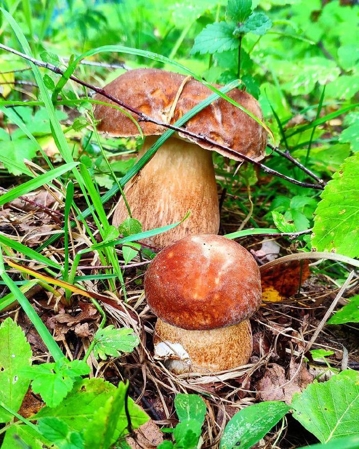 ����� ��� #9