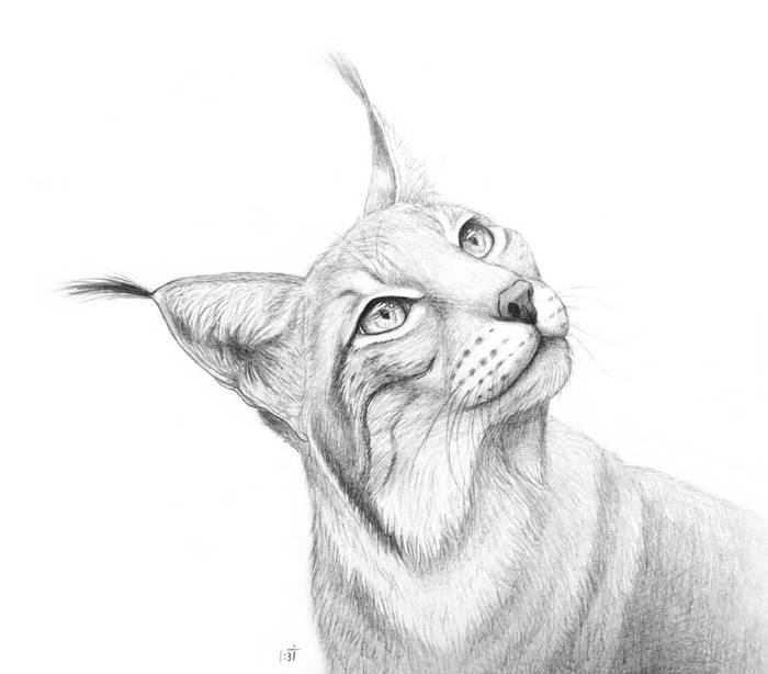 It is interesting...