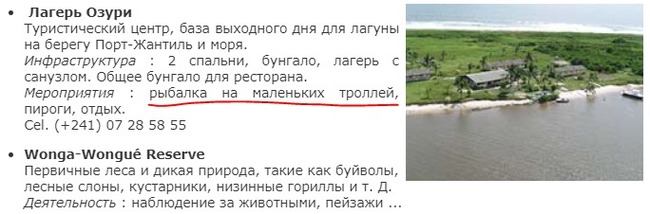 Автоперевод гугл жжот