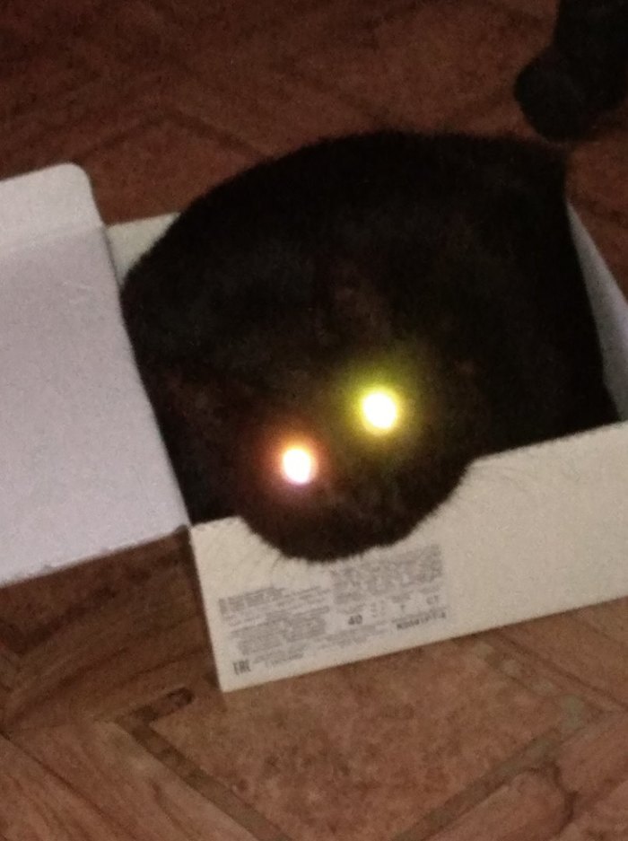 ����� � �������.