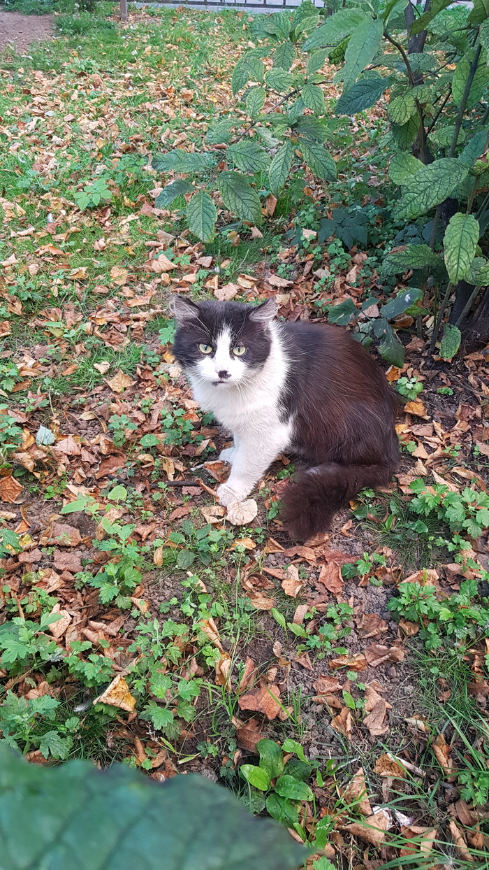 Чего сразу Гитлер то?