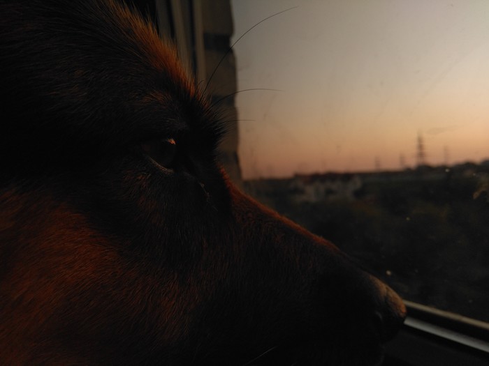 Проводить последний летний закат