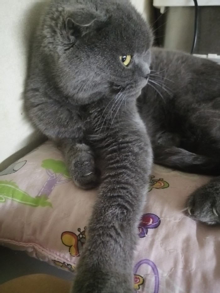   ,  , , 