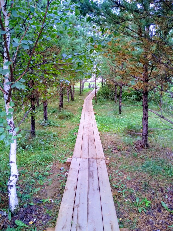 ������ ���� �����