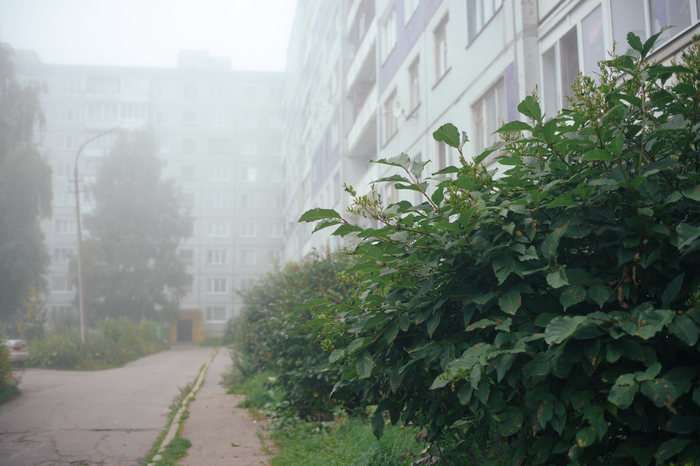 День знания... Архангельск, Туман, Фотография, Девятиэтажка, Длиннопост