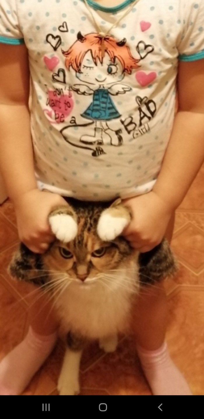 ...���� ��� ����