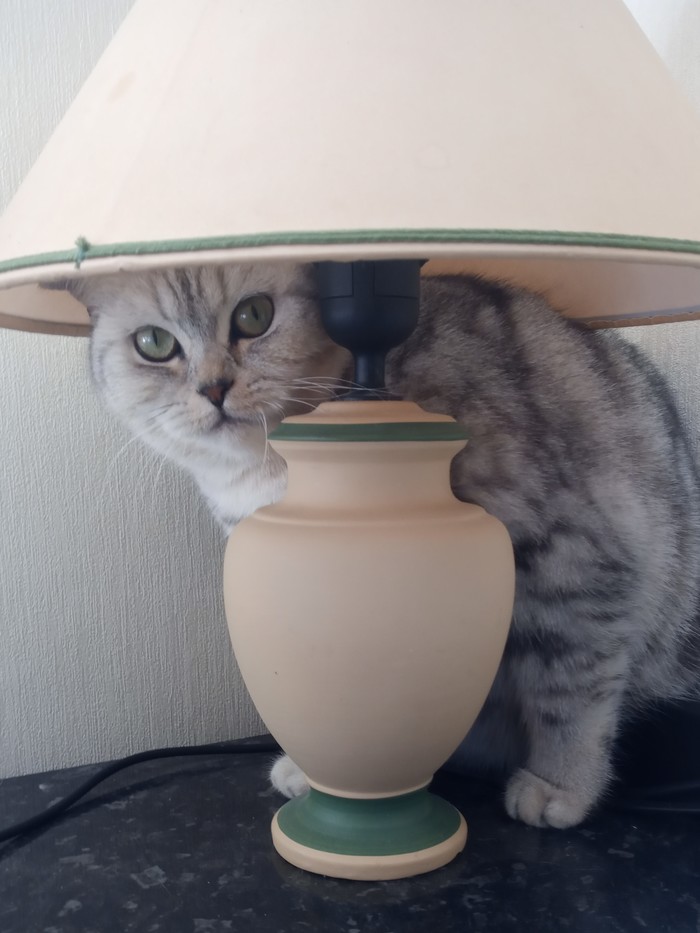 Котолампы пост =)