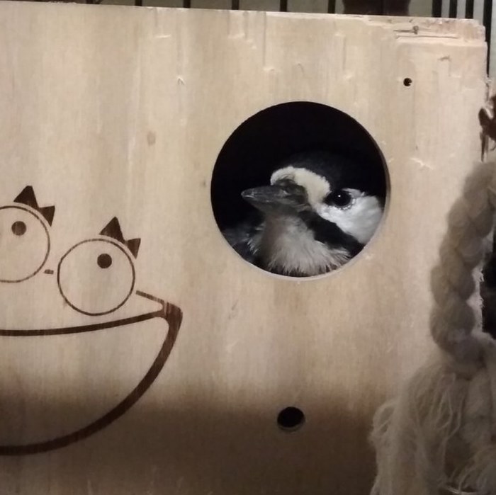 Нецелованный