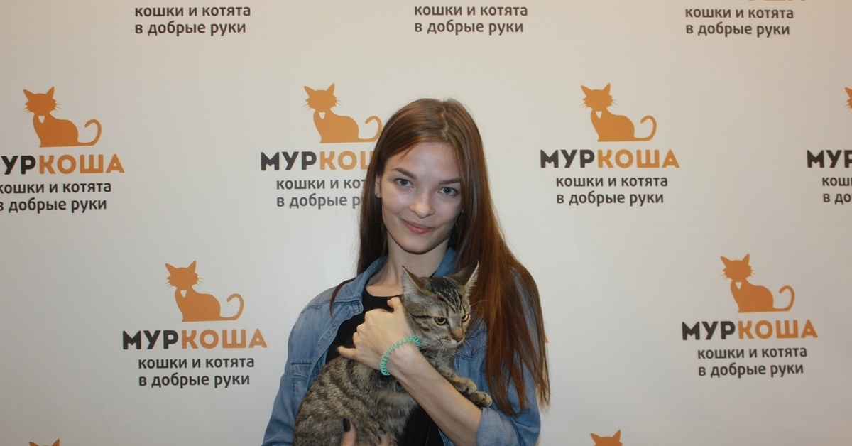 Муркоша коты. Муркоша. Муркоша лого. Кошачий приют муркоша. Центр помощи муркоша.
