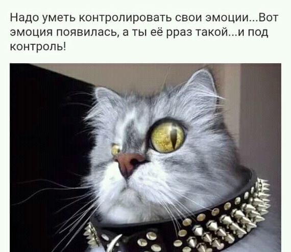 Дело говорит!