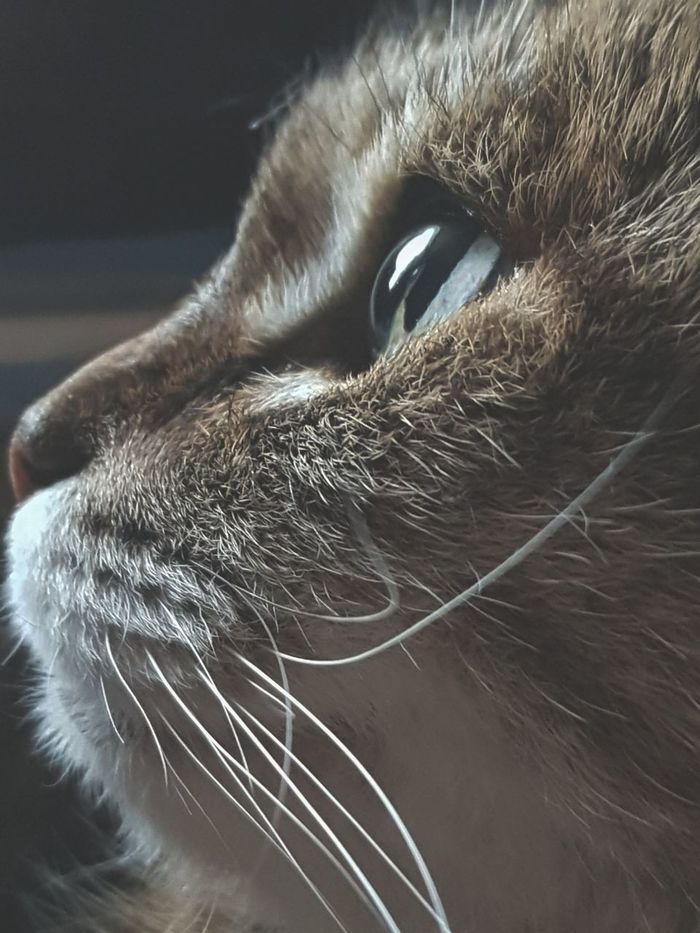 Исследование эмоций