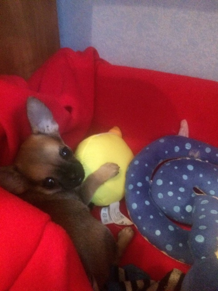 Безымянный | Пикабу