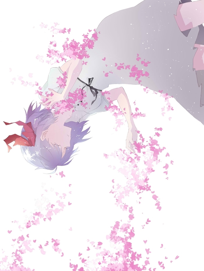 Sakura Matou (F/SN)