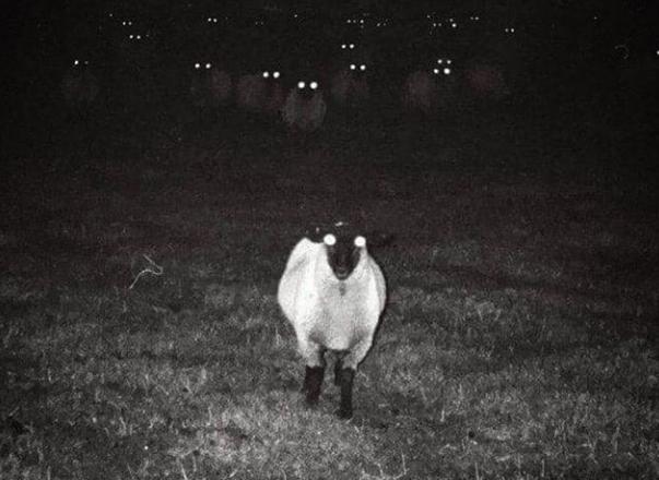 ������� ���...